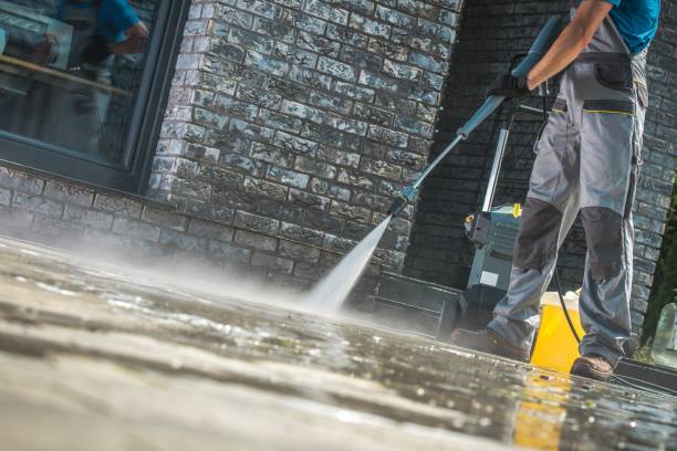 Best Roof Cleaning and Mildew Removal in Salem, MO