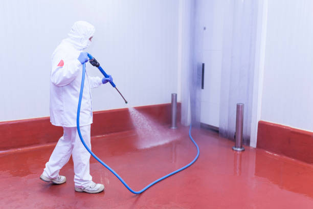 Trusted Salem, MO Pressure Washing Services Experts